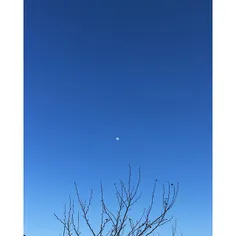 Day #moon and the blue #sky, on the road to #Esfahan. | 1