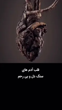 قلب تو کدام یکی است ؟
