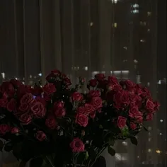 رز🌹