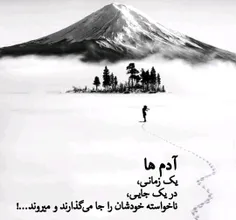 آدمای راستگو،