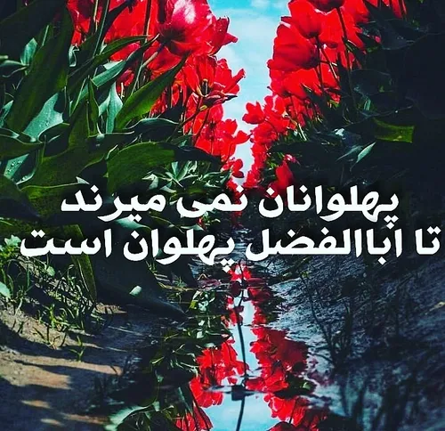 عیدتان مبارک .....