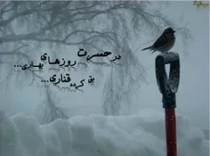 در حسرت روزای بهاری...