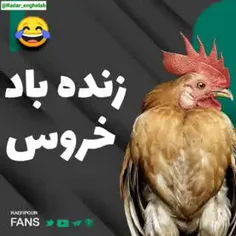 لطفا این استوری رو تا آخر تماشا کنید...😂😂😂🤣🤣🤣