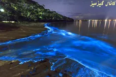 جزیره ای در مالدیو معروف به دریای ستاره ها😍 👌 🏻 