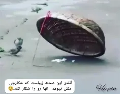 حاضره خودش تو دام بلا بیفته ، ولی به جفتش آسیبی نرسه .. ا