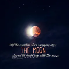 Of the countless stars occupying skies, the moon shared i