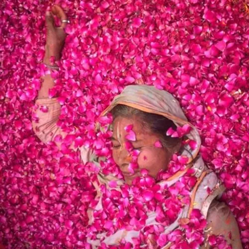 Photo by @ravimishraindia for @everydayindia. A widow lie