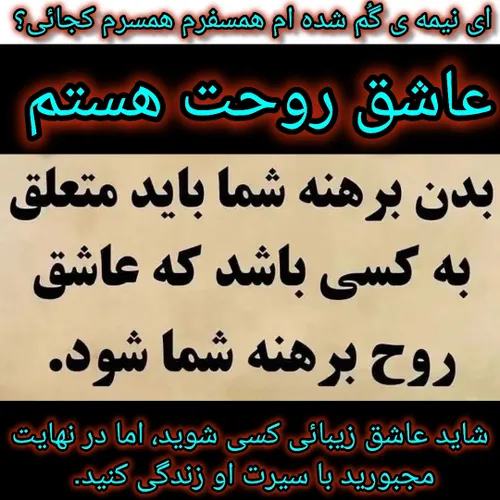 نیمه گمشده