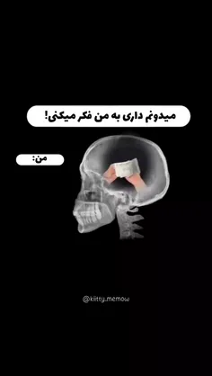 حقیقت محض:>