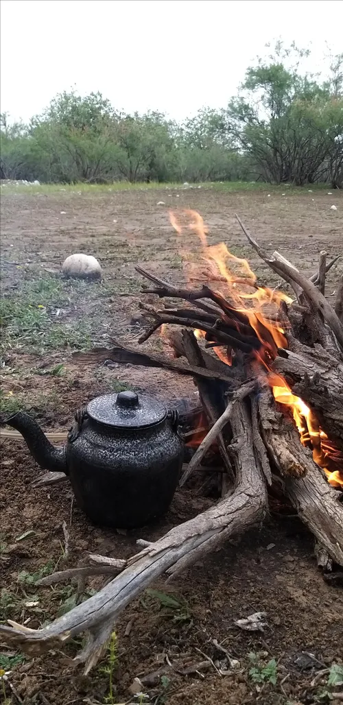 کرونا رو با طبیعت گردی اونم مجردی باید شکستش داد😄