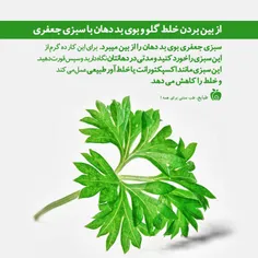 خلط گلو و بوی بد دهانتان را با سبزی#جعفری از بین ببرید 👌