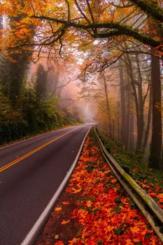 Autumn Morning Drive