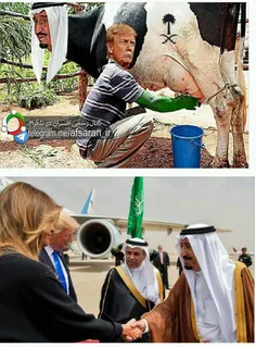 این تصویر رو کاربرای #یمنی در توصیف سفر #ترامپ به عربستان