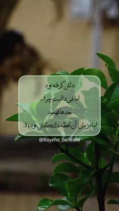 جمعه ها میگذرد از اونیامد خبری😭