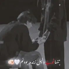 *تنهاتویی دلیل زنده بودنم*