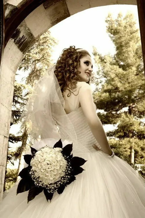 گوناگون bride-dress 27893171 - عکس ویسگون