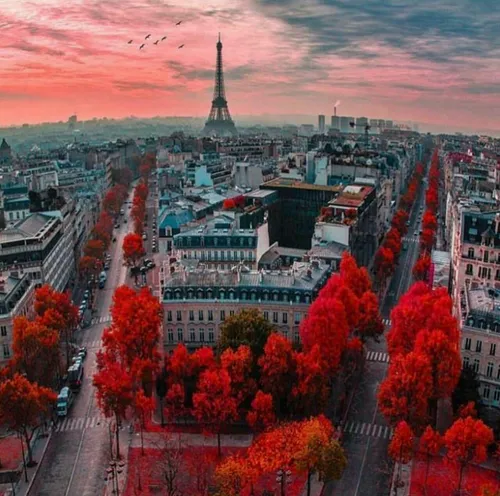 شهر رویایی پاریس 😍