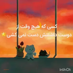 کسی که هیچ وقت از دوست داشتنش دست نمی کشی