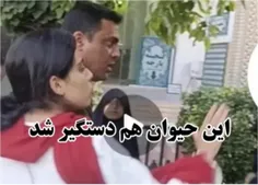 خبر خوش : عامل ضرب و شتم زن محجبه در شیراز با #گونی روانه