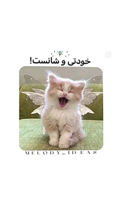 لایک یادت نره قشنگ 🌿