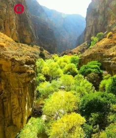 دره زیبای شمخال_قوچان