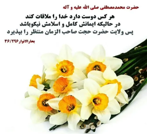 حدیث مهدوی