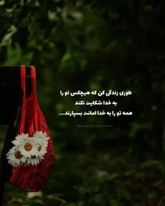 طوری زندگی کن که هیچکس تو را به خدا شکایت نکند