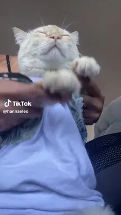 ☆⋆｡𖦹°‧★⋆. ୨୧˚⋆ 