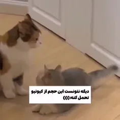 https://wisgoon.com/kklfcآره دقیقن واسه خوده خودت🥺😂