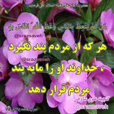 #مایه_پند_دیگران #حضرت_امام_علی_ع  می فرمایند: