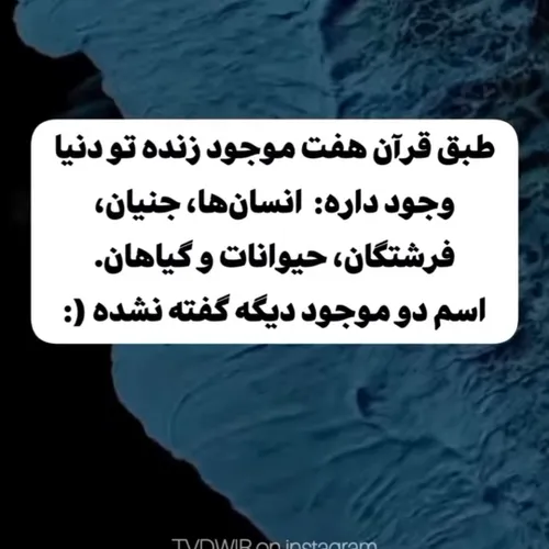 به نظر من یکیش روباه نه دمه نظر شما چیه🤔