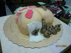 کیک هست یا کلاه؟!