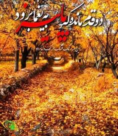 دوقدم مانده که پاییز به یغما برود