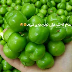 عاخ عاخ
