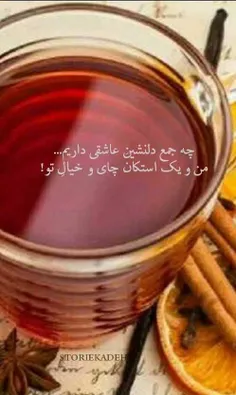 چه جمع دلنشینِ عاشقی داریم...