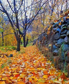 رد نکن گرمای دستم را به دردت می‌خورم