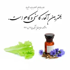 امام رضا (ع) [درباره سبزی‌ها] :