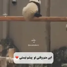 پس تنهام نزار🖤💔