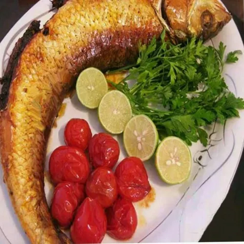 نوعی ماهی به نام "سارپا سالپا" که خوردن آن باعث ایجاد توه