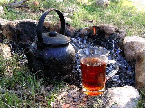 بفرمایید چایی دوستان