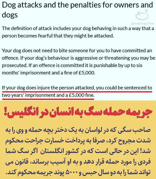 مقایسه جریمه حمله سگ به انسان در ایران و انگلیس!