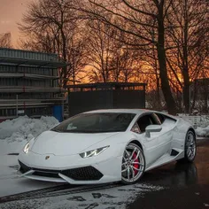 lambo