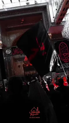 شیر سرخ عربستان 🦁❤️‍🔥