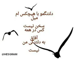 *** دوباره شب امد ... 