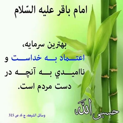 بهترین سرمایه