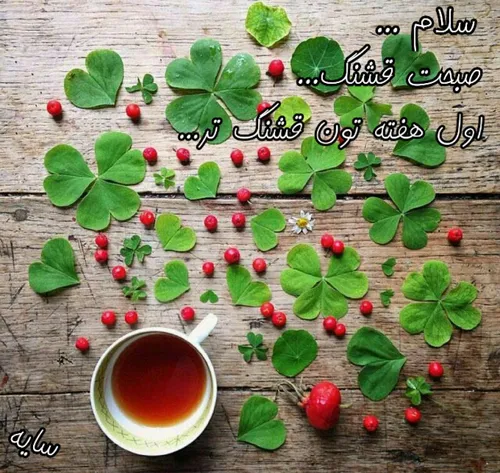 به نــام آن خـداوندی که نــور است 🎀 🍃 🎀