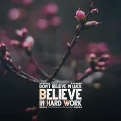 Don't believe in luck, Believe in hard work.