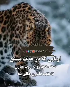 آدم هایی که روح بزرگی دارند، 