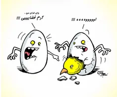 جواب یک مرد به زنش