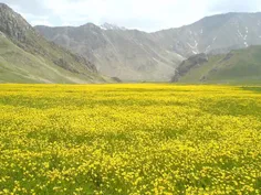 من به دنبال فضایی می‌گردم